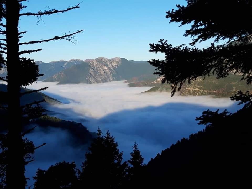 Omalia Village أنو خورا المظهر الخارجي الصورة